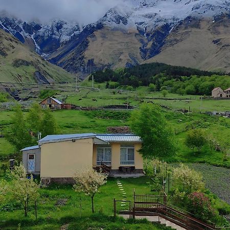 Mountain Kazbegi Apartment Екстериор снимка