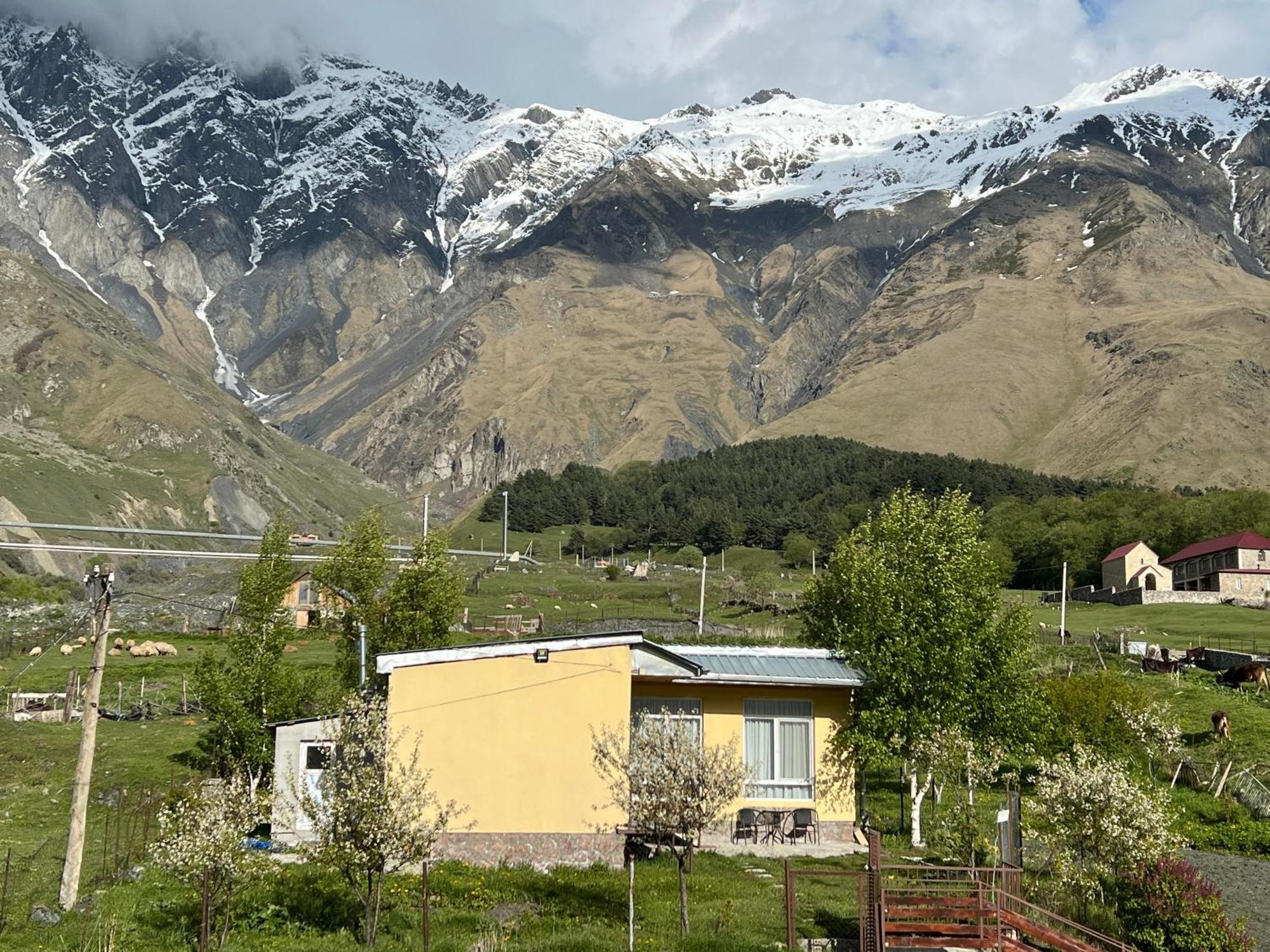 Mountain Kazbegi Apartment Екстериор снимка